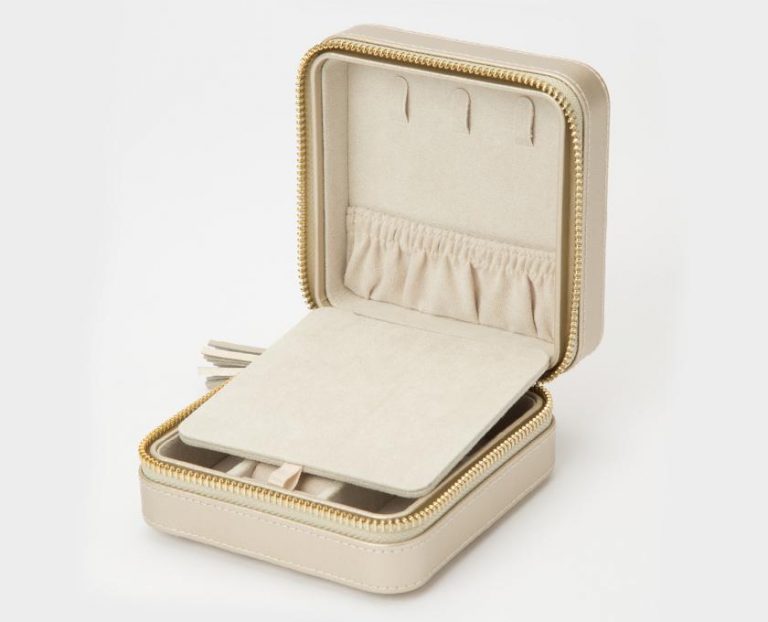 Champagne Zip Travel Case