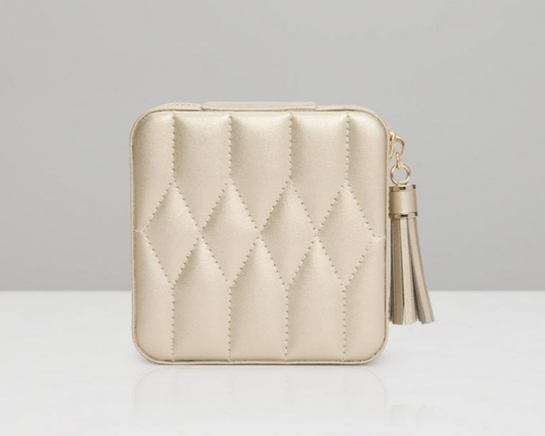 Champagne Zip Travel Case