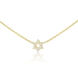 Yellow Gold Tiny Star of David Necklace